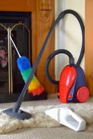 domestic cleaning west london